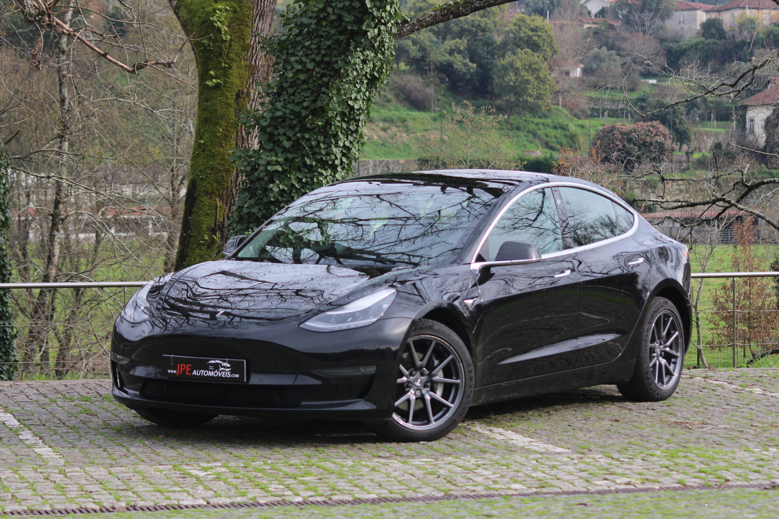 Elegantes Dual Motor Tesla Fotosnull